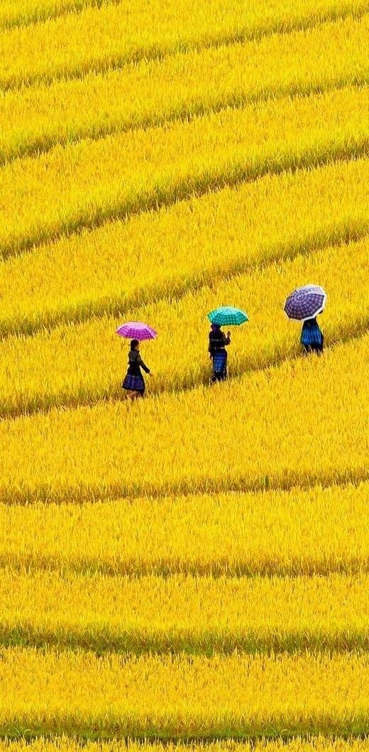 Школи світу: різні підходи до навчання і балансу життя в Південній Кореї, Франції та Колумбії