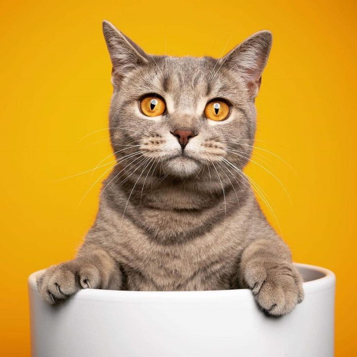 Освіта без стресу: що можна взяти Україні зі шкіл Південної Кореї, Франції та Колумбії